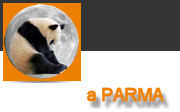 ecostore panda e luna
