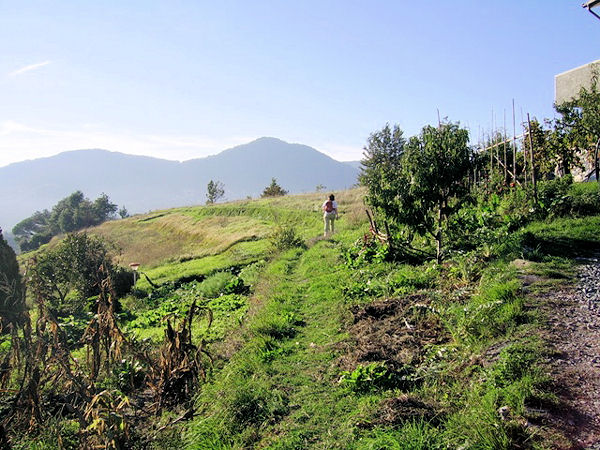 ligurian hills