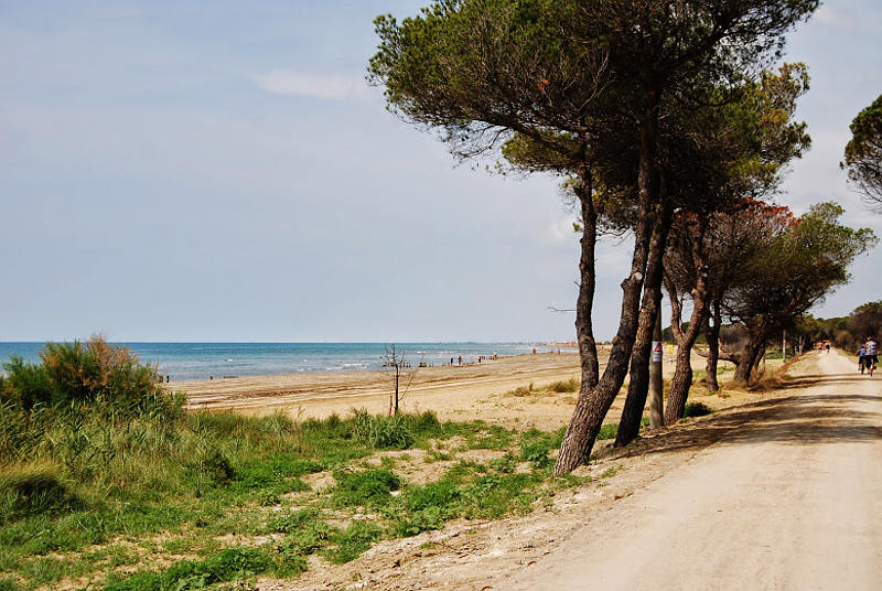 the dunes of Bibione