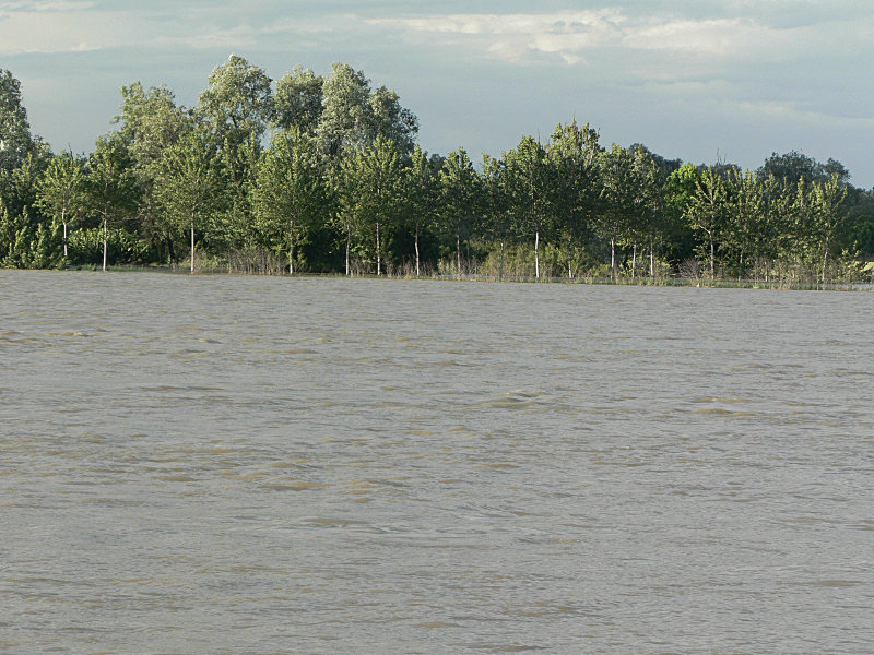 Po river: the flood