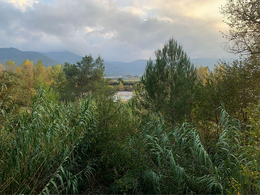 02.2021: Marina Daprelā - albenga (sv)