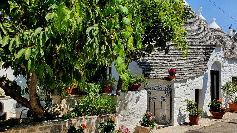 11.2020: Gianni Mazzoli - alberobello (ba)