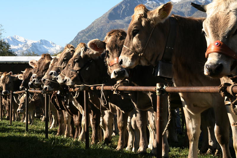 livigno (so)