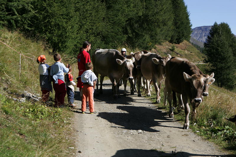 08.2014: Roby Trab - livigno (so)