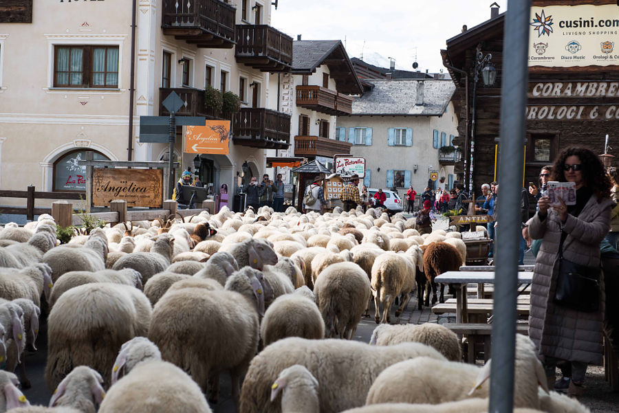 10.2017: Apt Livigno - livigno (so)