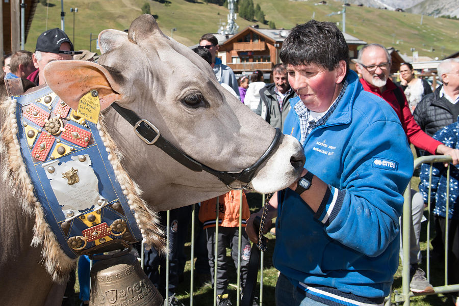 10.2017: Apt Livigno - livigno (so)