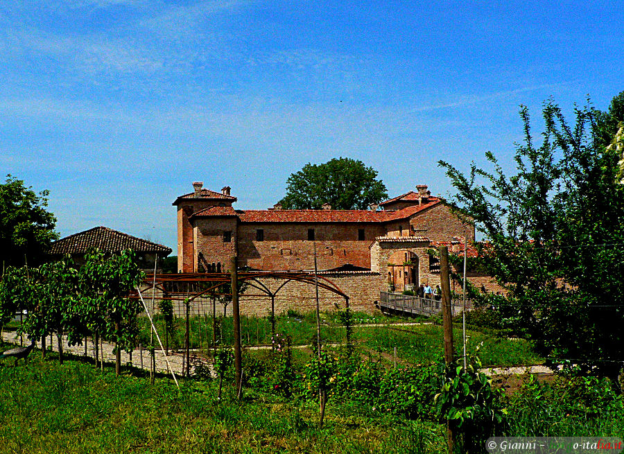 01.2024: Gianni - polesine parmense (pr)