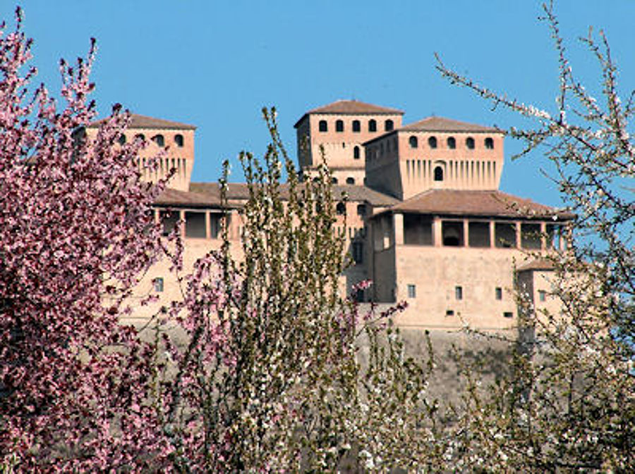 01.2008: Michela Corradi - langhirano (pr)