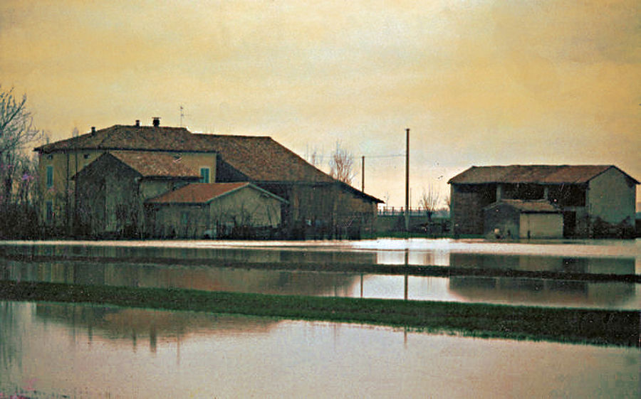 03.2013: Gianni - polesine parmense (pr)