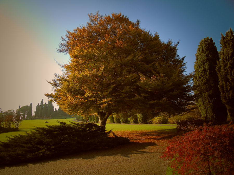 10.2017: Parco Giardino Sigurta - valeggio sul mincio (vr)