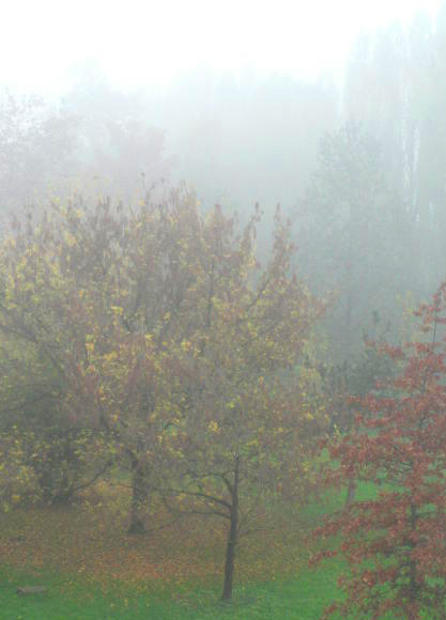 10.2013: Gianni - pianura padana
