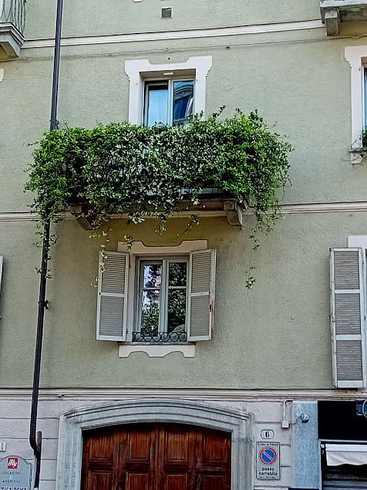05.2026: Stefania Origlia - torino (to)