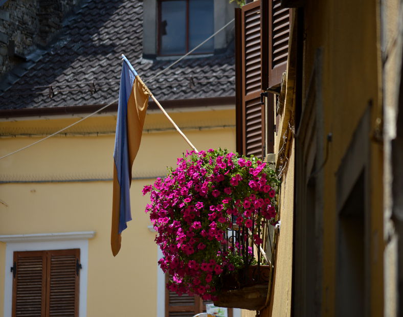 07.2015: Gianni - bardi (pr)