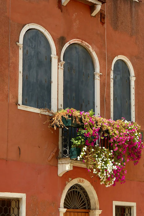 11.2019: Stefania Origlia - venezia (ve)