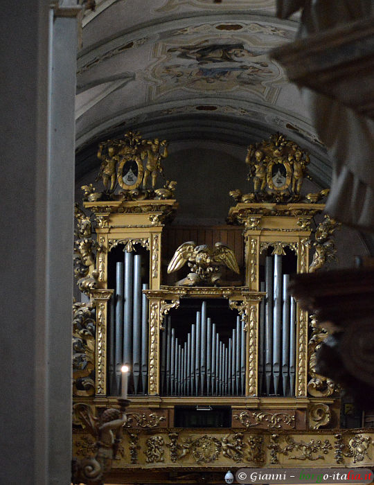 07.2018: Gianni - fontanellato (pr)