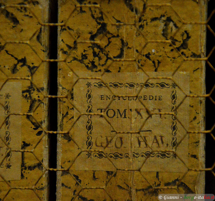 01.2026: Gianni - busseto (pr)