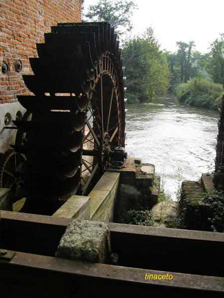10.2014: Tina Aceto - borghetto lodigiano (lo)