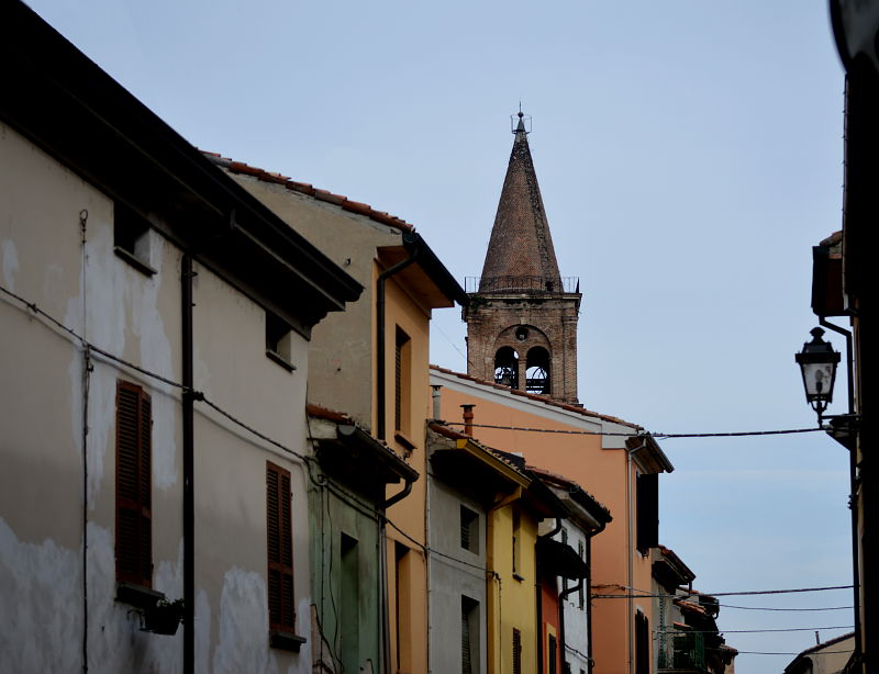 11.2015: Gianni - busseto (pr)