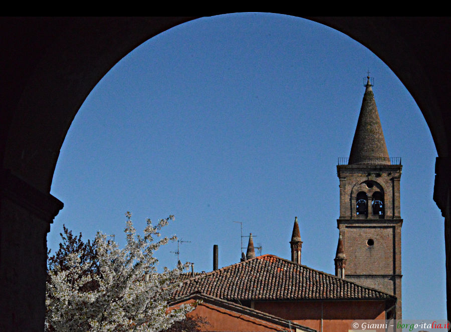 03.2024: Gianni - busseto (pr)