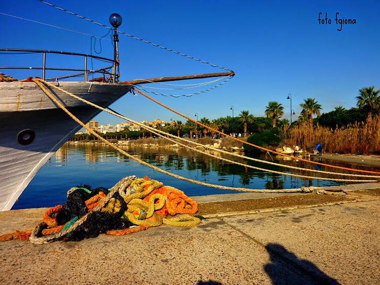 04.2014: Francesca Giona - cagliari (ca)