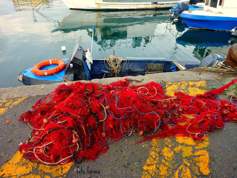01.2014: Francesca Giona - cagliari (ca)