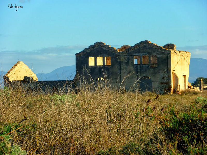 01.2014: Francesca Giona - cagliari (ca)