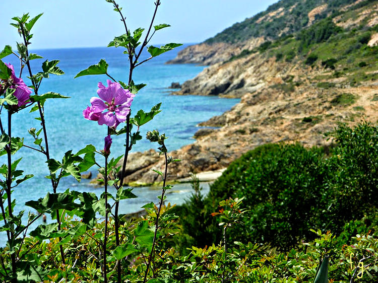 05.2014: Francesca Giona - cagliari (ca)