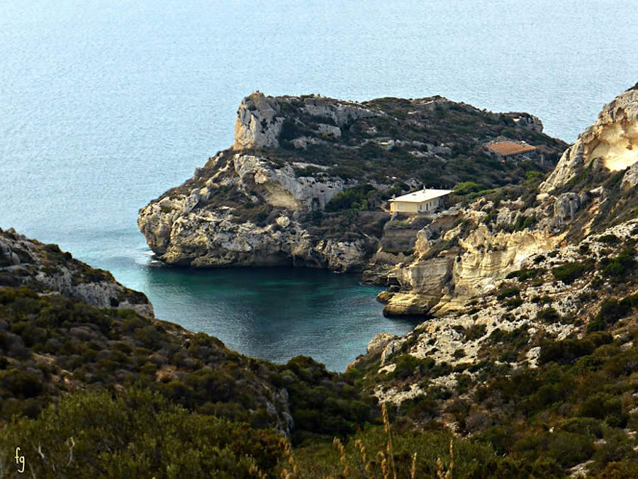 11.2017: Francesca Giona - cagliari (ca)