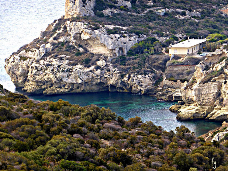 10.2014: Francesca Giona - cagliari (ca)
