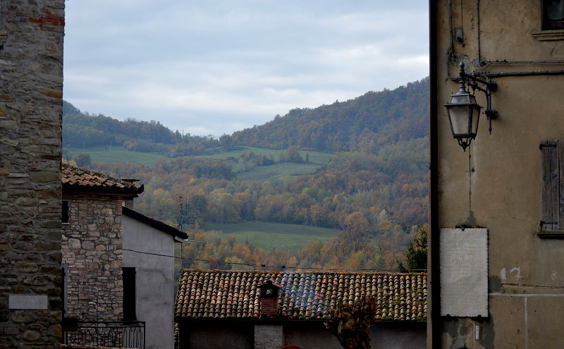 11.2015: Gianni - nibbiano (pc)