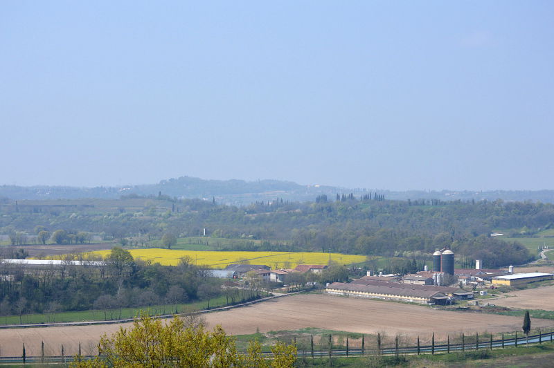 04.2015: Gianni - valeggio sul mincio (vr)