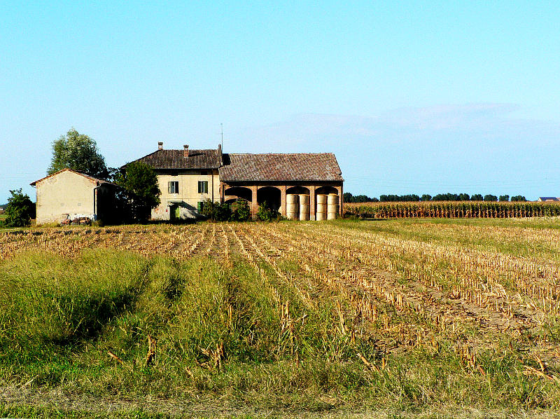 09.2014: Gianni - bersano (pc)