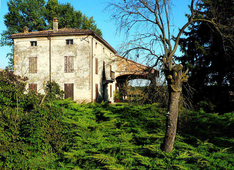 09.2014: Gianni - bersano (pc)