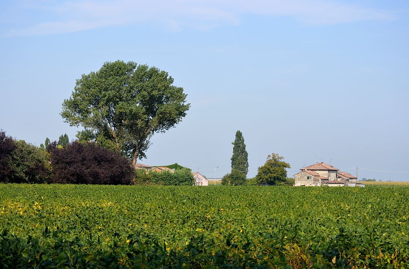 08.2015: Gianni - bersano (pc)