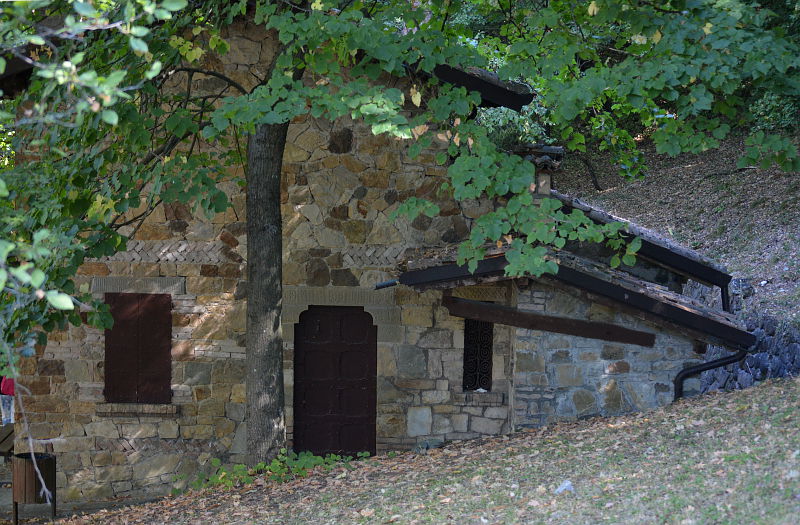 09.2016: Gianni - selvapiana (re)