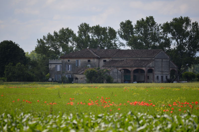 05.2015: Gianni - bersano (pc)