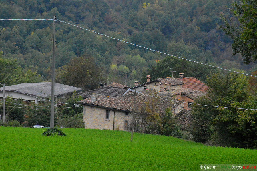 11.2024: Gianni - pellegrino parmense (pr)
