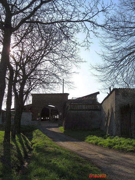 03.2015: Tina Aceto - lodi (lo)