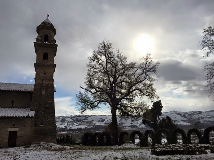01.2015: Antonella Azzoguidi - castel di lama (ap)
