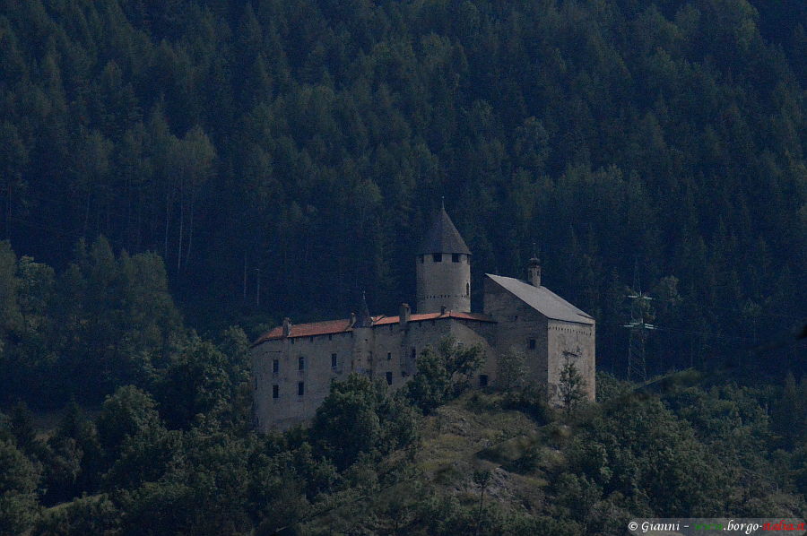 08.2019: Gianni - campo di trens (bz)