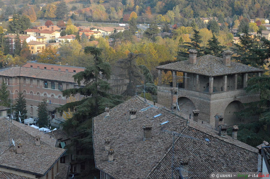 11.2017: Gianni - castellarquato (pc)