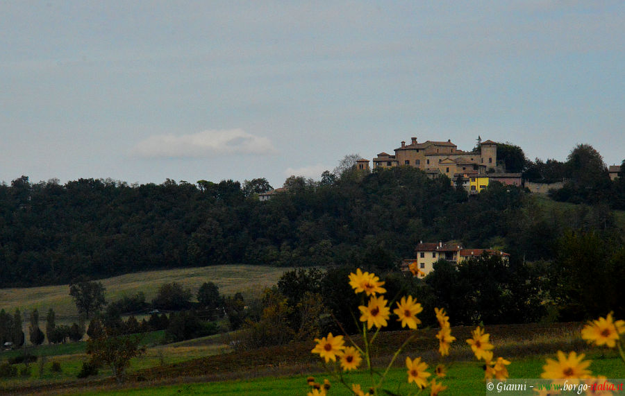 11.2024: Gianni - salsomaggiore terme (pr)