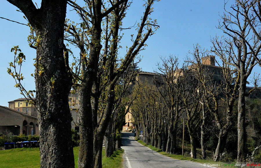 06.2022: Gianni - tabiano castello (pr)