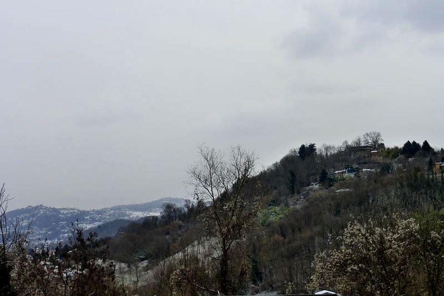 08.2021: Stefania Origlia - castiglione torinese (to)