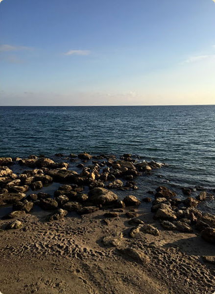 01.2016: Marina Daprelā - ceriale (sv)