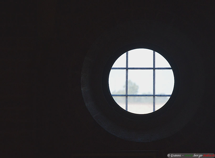 01.2026: Gianni - chiaravalle della colomba (pc)