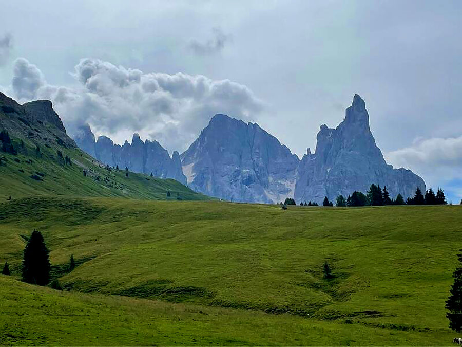 08.2024: Marina Daprelā - primiero san martino di castrozza (tn)