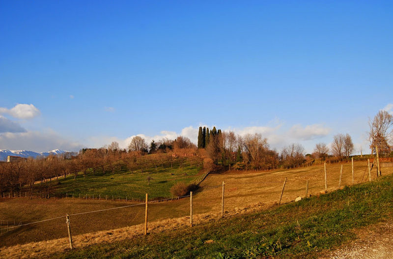 02.2015: Nadia Bellotto - conegliano (tv)