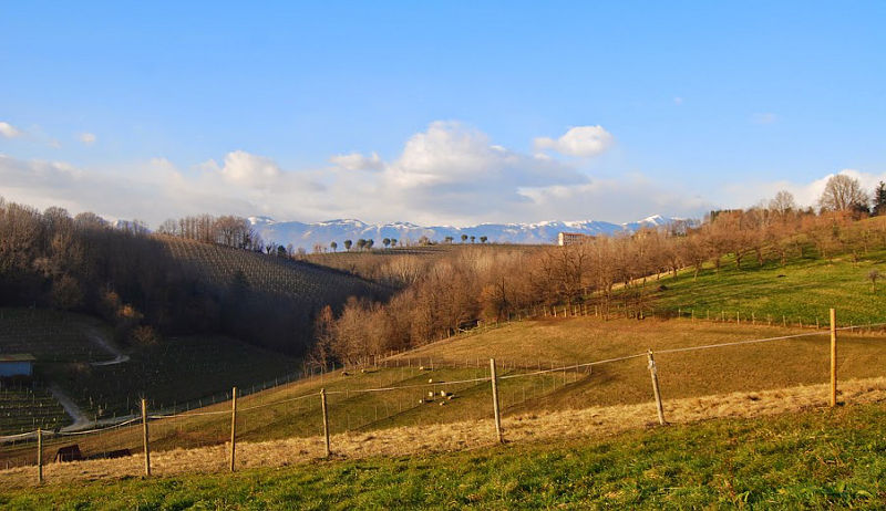 02.2015: Nadia Bellotto - conegliano (tv)