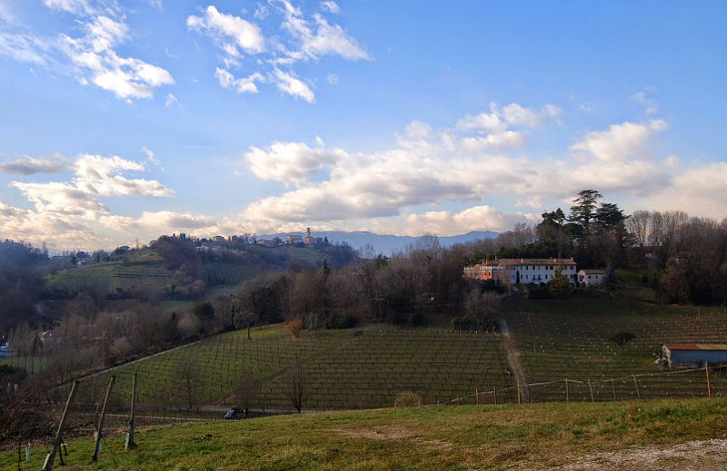 02.2015: Nadia Bellotto - conegliano (tv)